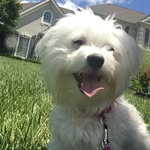 Tyler Sines - @tylersines2006 - Instagram
