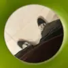 Tyler Soares - @tylers69420 - TikTok