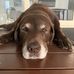 Tyler Spain - Facebook