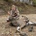 Tyler Spaulding - Facebook