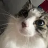 Tyler Spears - @tyler.spears8 - TikTok