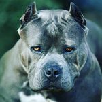 tyler speering - @tylerspeering - Instagram