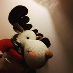 Tyler Spitzer - @tylerspitzer1234 - Instagram