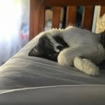 Tyler Spry - @tyler__spry - Instagram