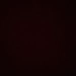 Tyler Starnes - @tyler_starnes2001 - Instagram