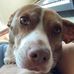 Tyler Stauffer - Facebook