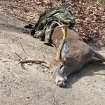 Tyler Stauffer - @tstauf17 - Instagram