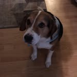 Tyler Stauffer - @stauffer529 - Instagram