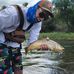 Tyler Stauffer - Facebook