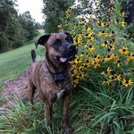 Tyler Steed - @tylerjsteed - Instagram
