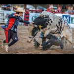 Tyler Stephens - @tyler.stephens15 - Instagram
