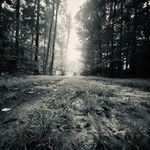 Tyler Stock - @stocks_.photos - Instagram