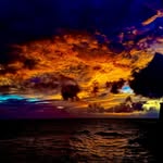 Tyler Stock - @_tylerstock_ - Instagram