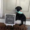 Tyler - @tyler.stocksdale - TikTok