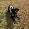 Tyler - @tyler.stocksdale - TikTok