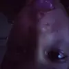 tylerstocks82 - @tylerstocks82 - TikTok