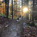 Tyler Stoltzfus - @mototonto - Instagram