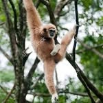 Tyler Stoneman - @tylerjstoneman - Instagram