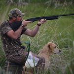 Tyler Stratman - @idaho_ducks_and_dogs - Instagram