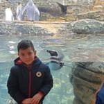 Tyler Stratmann - @stratmanntyler - Instagram