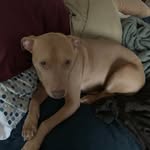 Tyler Stroud - @tyler.stroud11 - Instagram