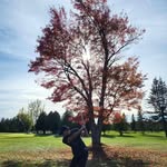 Tyler Stroud - @tyler_stroud9 - Instagram