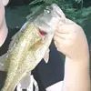 tylerswan2007 - @tylerswan2007 - TikTok