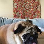 Tyler Talbert - @tybass10 - Instagram