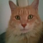 Tyler Talbot - @tyler_talbot_0047 - Instagram