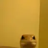 Tyler - @tyler.tatman - TikTok