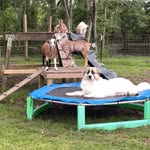 Tyler & Teri Thames - @tangleddaisyfarms - Instagram