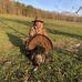 Tyler Thayer - Facebook