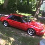 Tyler Thayer - @tylerthayer96 - Instagram