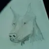 tylerthayer8 - @tman10044 - TikTok