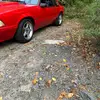 tylerthayer96 - @tylerthayer96 - TikTok