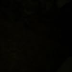 Tyler Thomason - @tyler_thomason22 - Instagram