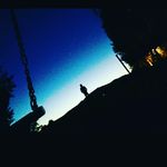 Tyler Thornton - @tyler_thornton183 - Instagram