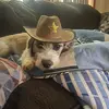 Tyler tittle - @penguinlover521 - TikTok