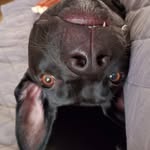 Tyler Totten - @azure_sentry - Instagram