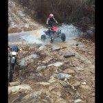 Tyler Traub - @traub95 - Instagram