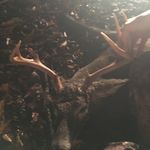 Tyler Triplett - @tyler.triplett - Instagram