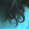 Tyler Triplett - @mythcryptidsandcreatures - TikTok