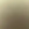 Tyler._.true - @tyler._.true13 - TikTok