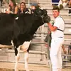Tyler True - @tylertrue16 - TikTok