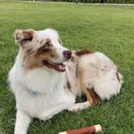 Tyler Tuck - @ty_c_tuck_ - Instagram