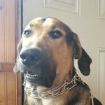 Tyler Tufts - @tylerrtufts - Instagram