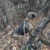 Tyler Tullis - Facebook
