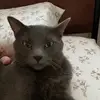 Tyler Urban - @tyler.urban8 - TikTok