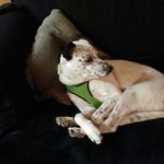 Tyler - @tylervanderpool74 - Instagram