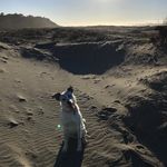 Tyler Vanderpool - @tyler_vanderpool - Instagram